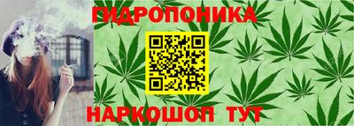 прущие грибы Тула