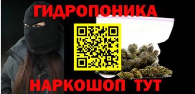 прущие грибы Тула