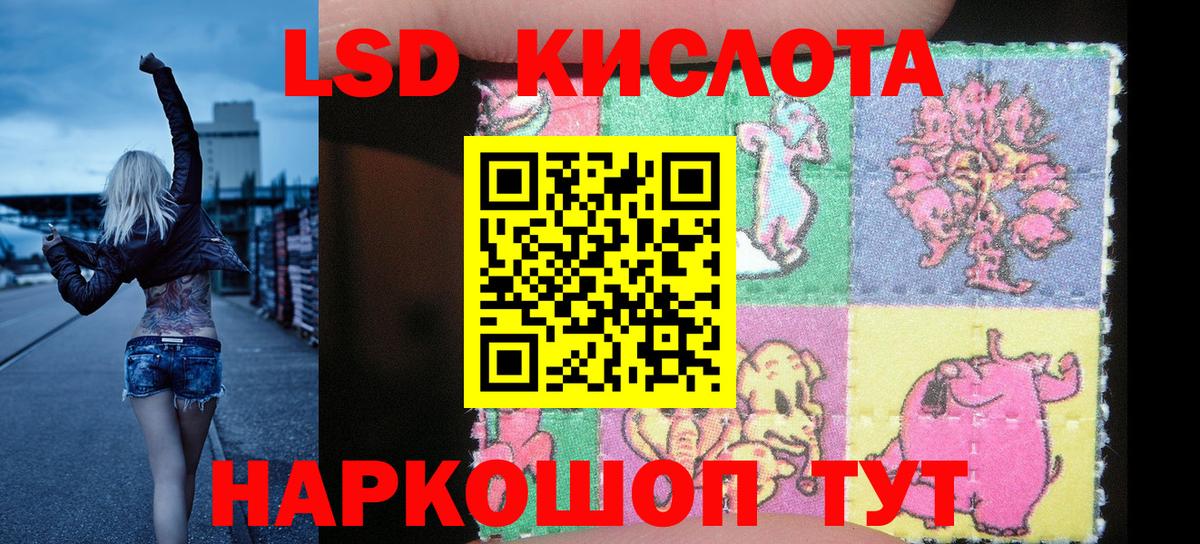 продажа наркотиков  Наркотические марки  Наркотические марки 1500мкг  Новоуральск  Вход с VPN  Наркотические марки 1500мкг 